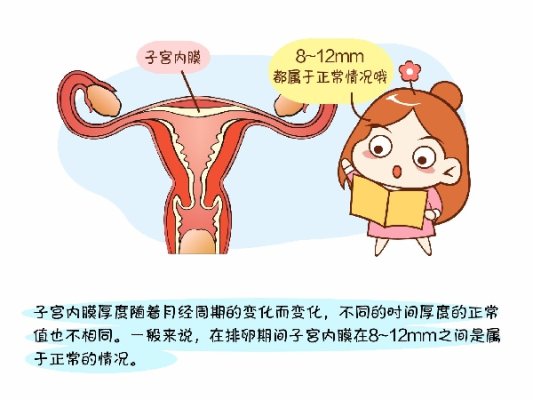 吉尔吉斯斯坦爱心妈妈排卵期内膜7mm会取消移植周期么?