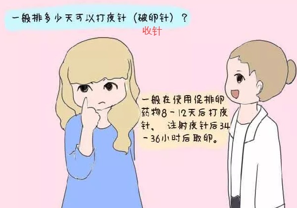 微信图片_2025-08-15_183306_429.jpg