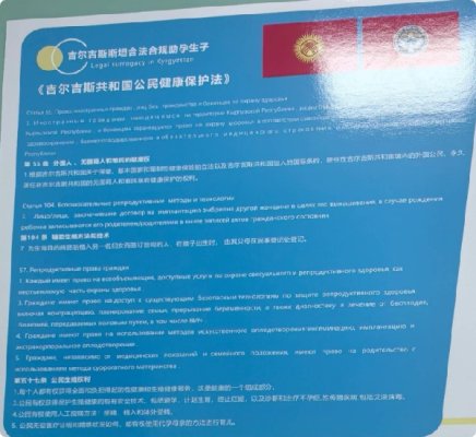 单身女性去吉尔吉斯斯坦做第三方辅助生殖需要注意哪些事项?爱宝来为您解答