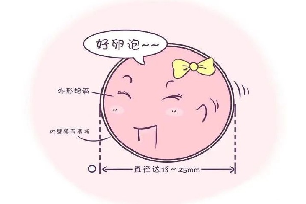 微信图片_20250627194832.jpg
