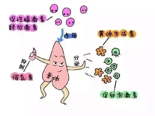 微信图片_20250915165913_489_491.jpg