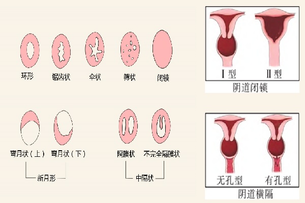 微信图片_20251011191610_1007_491.jpg